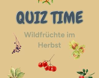 Kräuterquiz – Wildfrüchte
