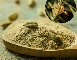 Kardamom – belebendes Gewürz mit Heilkraft