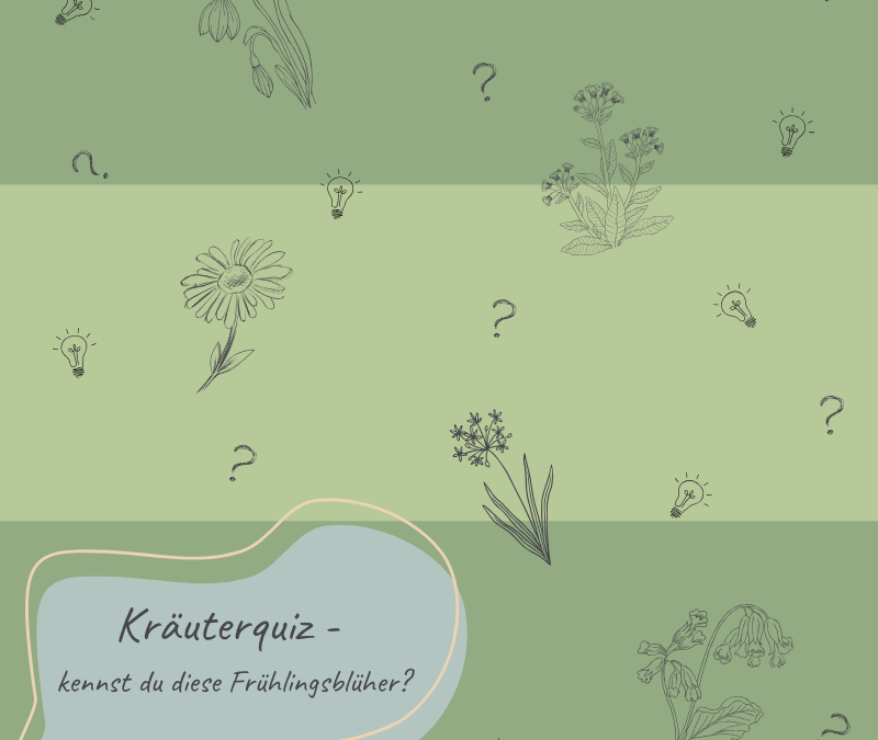 Kräuterquiz – erkennst du diese Frühlingsblüher?