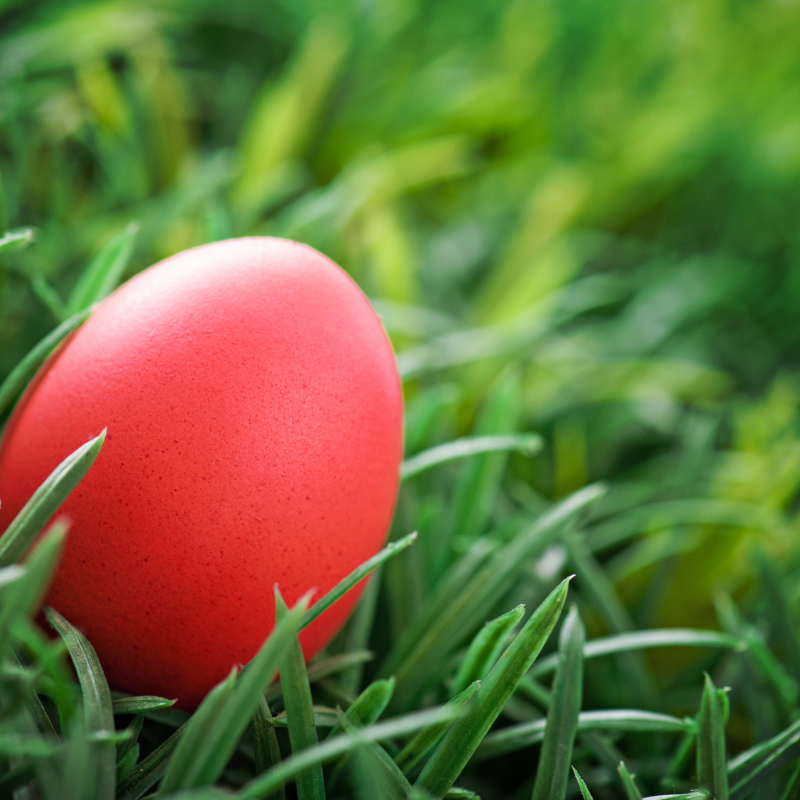 Ein rotes Ei in Nahaufnahme, das im Gras liegt