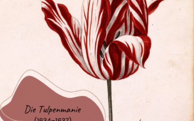 Tulpenmanie