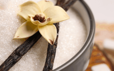 Vanille – alles über das Gewürz der Sinne